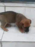 sem nome ainda