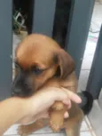 sem nome ainda