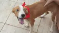 Bambina