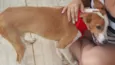Bambina