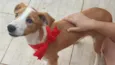 Bambina