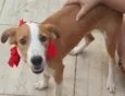 Bambina