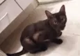 Salem