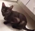 Salem