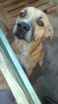 FARUCK