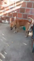 FARUCK