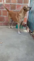 FARUCK