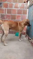 FARUCK
