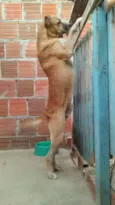 FARUCK