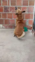 FARUCK