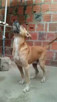 FARUCK