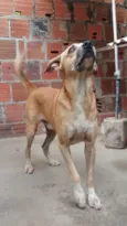 FARUCK