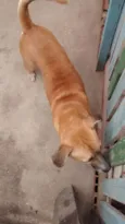FARUCK