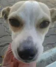 sem nome