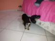 Sem nome