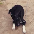 Marley