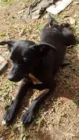 Nik