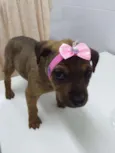 BELLA