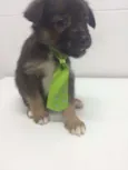 KAQUI