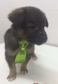 KAQUI