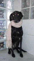 Meg