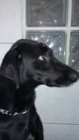 Meg