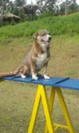 Frederico