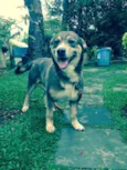 Frederico