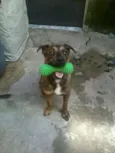 Nick