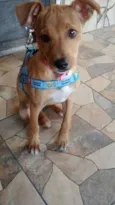 LUNA