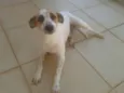 Preta e Amêndoa