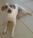Amêndoa