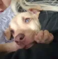 DESIREÉ