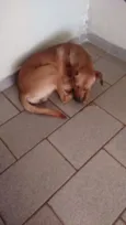 Marley