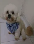 Kevin