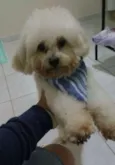 Kevin