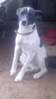 Marley