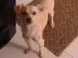 Mel