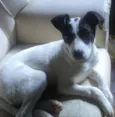 Amora