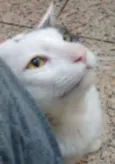 Gregório