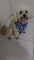 Kevin