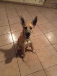 Mel