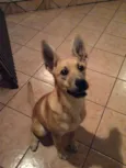 Mel
