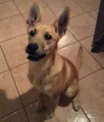 Mel