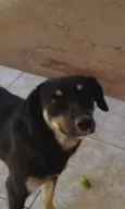 Mel