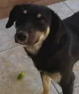 Mel
