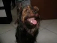 Stark