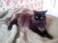 Julieta