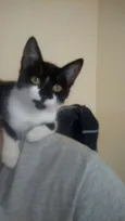 Nina
