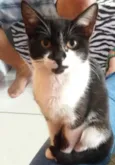 Nina